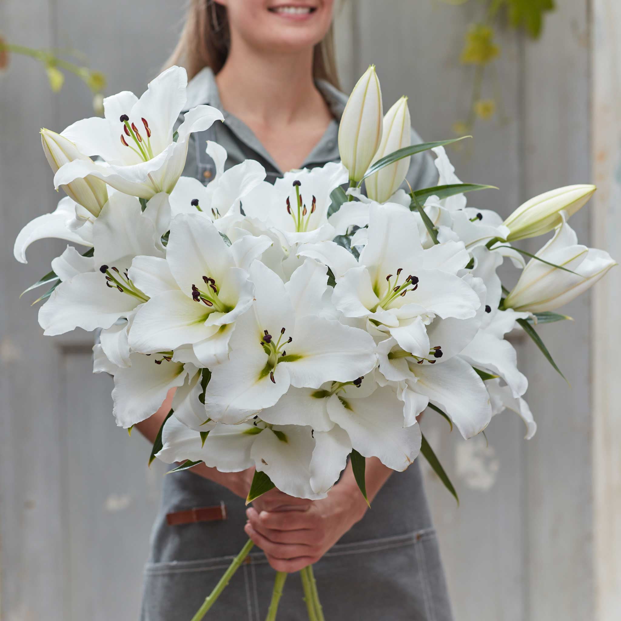 LILY です thumb_1AEFE20A781440B9800A1090