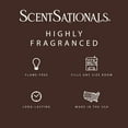 thumbnail image 3 of Scentsationals Cinnamon Spice Scented Wax Melts, 2.5oz (1-Pack), 3 of 5