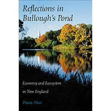 Reflections in Bullough’s Pond : Economy and Ecosystem in New England (Paperback)