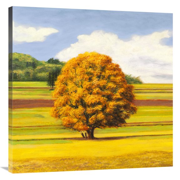 Global Gallery's 'Pianure serene I (detail)' by Angelo Masera Stretched Canvas Wall Art