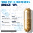 thumbnail image 5 of Shiny Leaf Methylated Bariatric Multivitamin Without Iron – 1 Daily Capsule with Methylated Folate & B12, Vitamins A, C, D, Biotin, Zinc, K – For Gastric Bypass & Sleeve – Vegetarian, Soy-Free, 90ct., 5 of 11