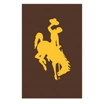 University of Wyoming Applique Flag, Reg