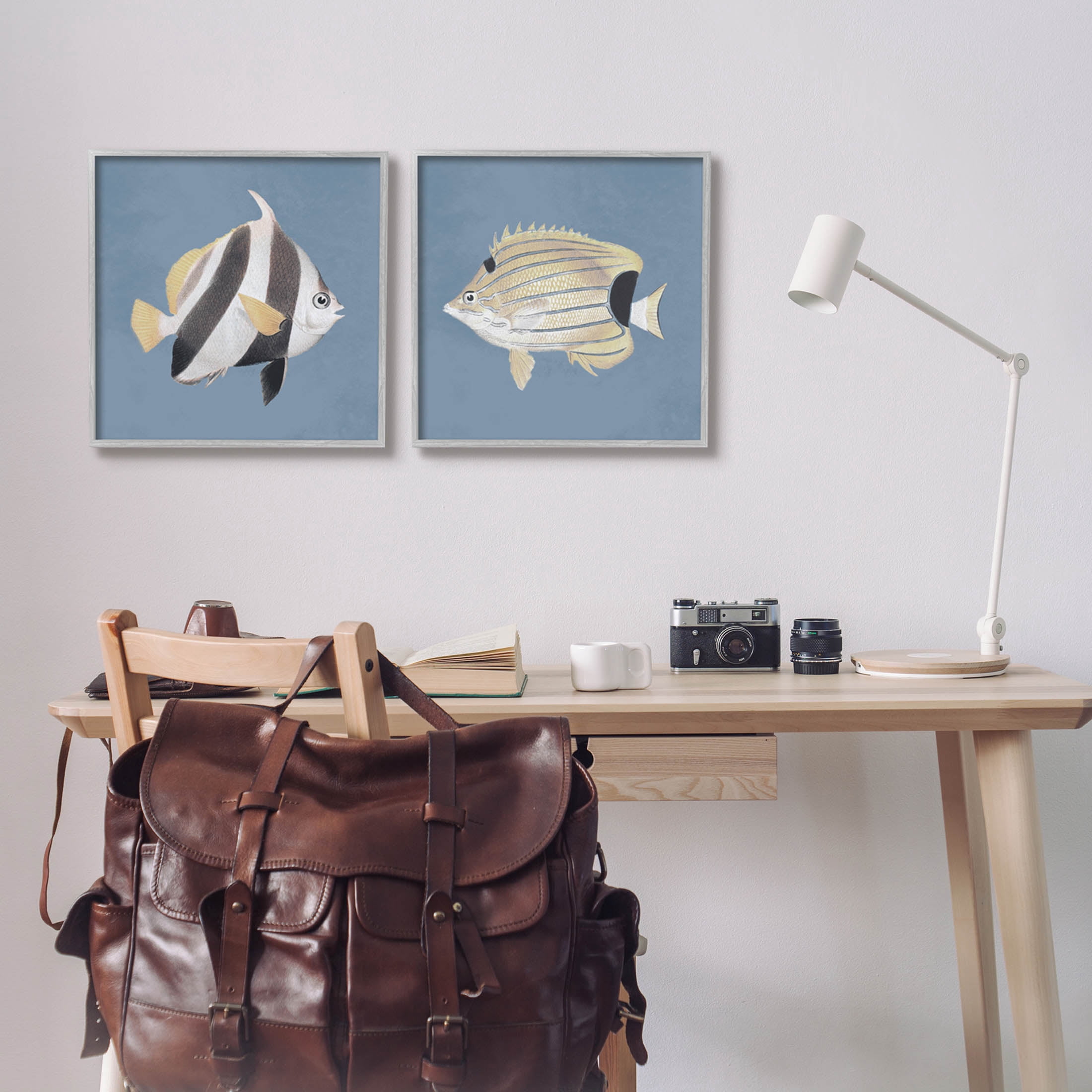 Marine Fish Underwater Sea Life Animals & Insects Graphic Art Gray Framed Art Print Wall Art, Set of 2