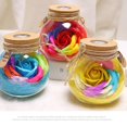 thumbnail image 3 of Botella de deseos Control remoto Flor rosa Luz de noche LED Bombilla romántica Lámpara de atenuación RGB Regalo de cumpleaños del día de San Valentín Yuarrent JJ17958-01B, 3 of 7