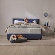 Casper Dog Bed, Plush Memory Foam, Small, Blue