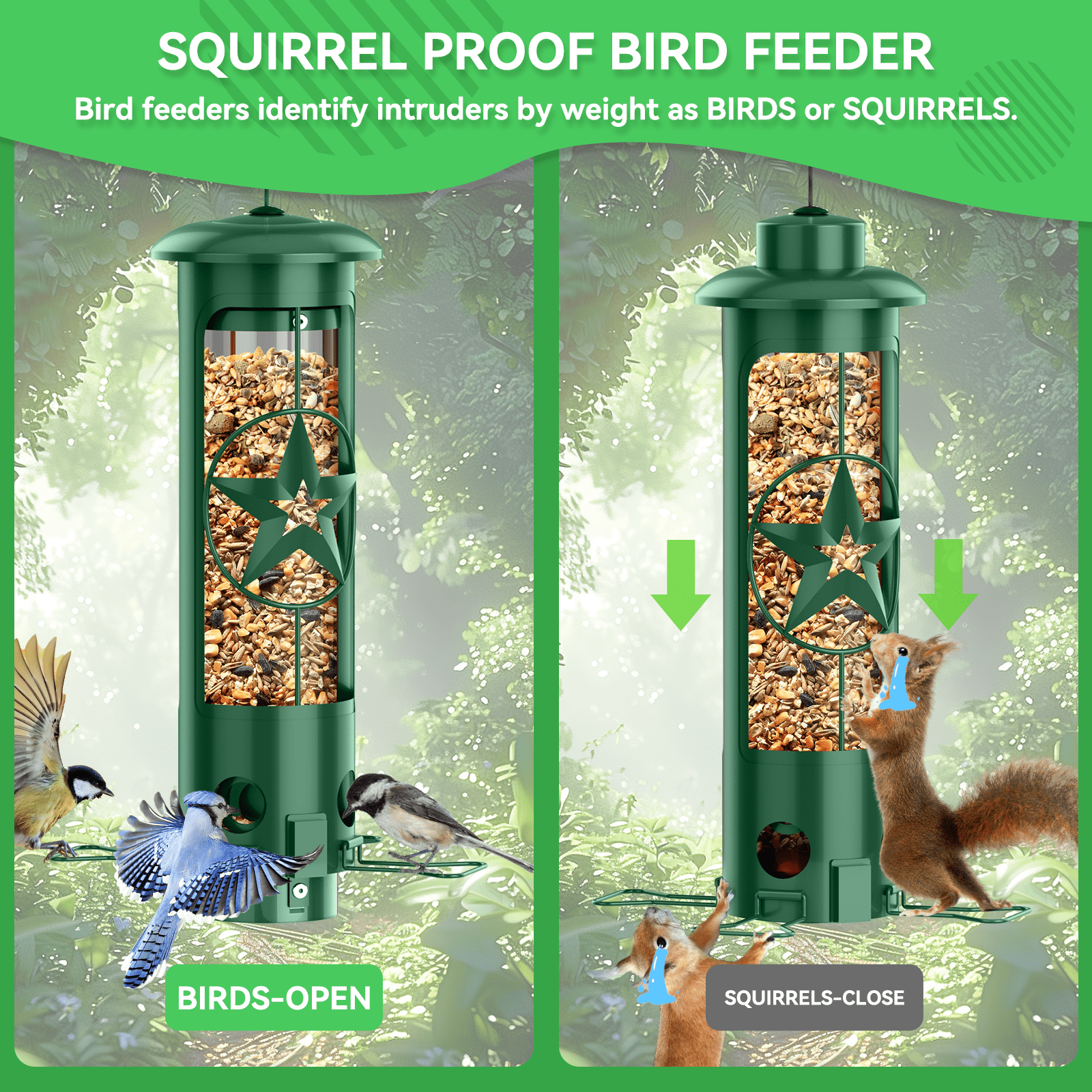 Squirrel Proof Bird Feeders for Outdoors Hanging, Metal Squirrel Proof Bird Feeder with Gravity Protection, 3LB Large Capacity Wild Bird Feeders for Outside Finch, Cardinal, Blue Jay