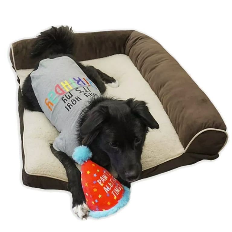 Its my birthday dog cheap shirt