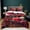 Color1, variant on 3 Pieces DP Bedding Set Ultra Soft Lightweight Duvet Cover Set All Season Comforter Set with Zipper