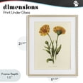 thumbnail image 4 of Stupell Industries Traditional Twin Marigold Blooms Birch Framed Print Under Glass, 17 x 21, by Connie Resch, 4 of 8