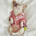 thumbnail image 4 of Soft Silk Pet Dog Pajamas French Bulldog Pajamas for Small Dogs Shih Tzu Puppy Cat Clothes Pets Clothing, 4 of 5