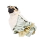 thumbnail image 3 of Otoño Invierno Poliéster Verde Claro Espesar Hermosa Suave Cómoda Ropa para Mascotas Abrigo Cálido Ropa para PerrosXL, 3 of 5
