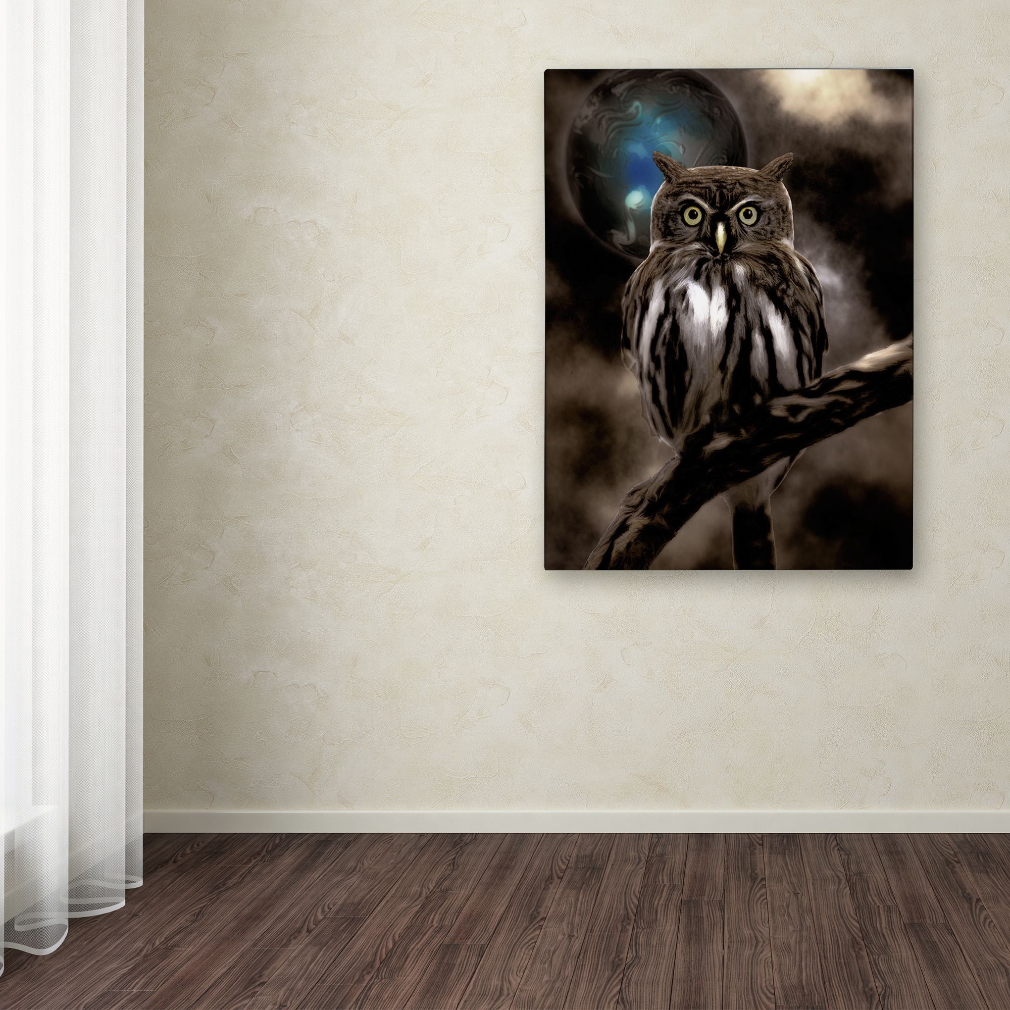Trademark Fine Art "Night Owl" Canvas Art by Color Bakery