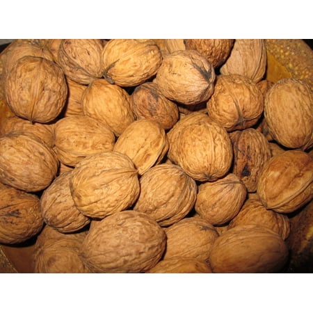 Open Clip Art Christmas Canvas Print Tasty Nut Open Food Nuts Walnut Christmas Stretched Canvas 10 x 14 ()
