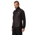 thumbnail image 4 of Regatta Veste Hybride Clumber IV pour Hommes, 4 of 7