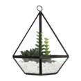 thumbnail image 3 of hometrends  Succulent Terrarium, 3 of 5