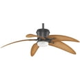thumbnail image 2 of Accessory All-Weather Blade (Set Of 5)-2 Inches Tall And 52 Inches Wide Fanimation Fans Bpw6090dna, 2 of 2