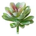 thumbnail image 1 of Coofit Artificial Succulent Decorative Realistic Plastic Succulent Artificial Plant, 1 of 7
