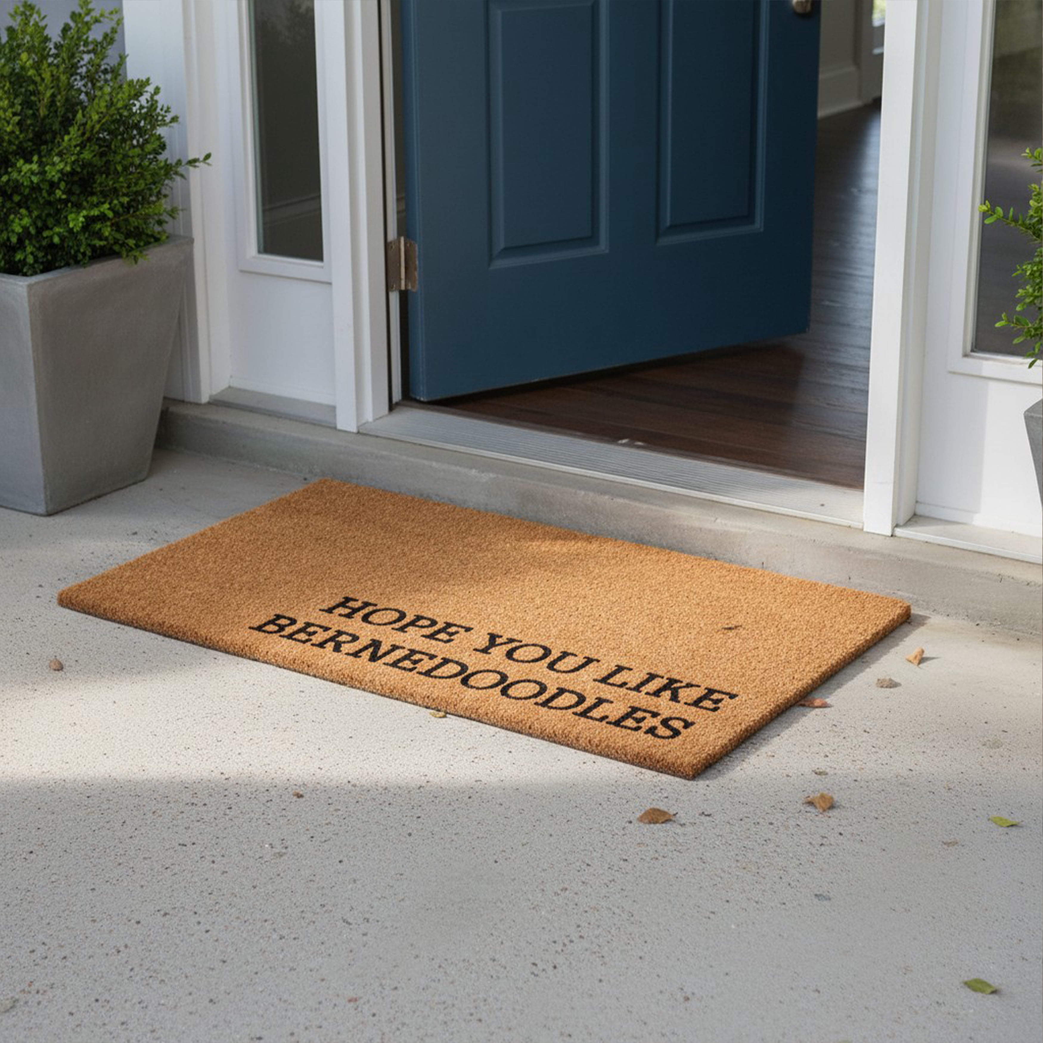 Hope You Like Berne doodles Non Slip Vinyl Backing, Front Doormat, Entryway Doormat, 24x36