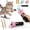 B, variant on 2026 New Automatic Cat Teaser Launcher - Free Your Hands, One Click Retraction, Electric Telescoping Interactive Cat Toy for Indoor Kitten Enrichment & Exercise Machine for Boredom Relief (C)