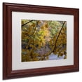 thumbnail image 3 of "Brilliant Ohio Autumn" Canvas Art by Kurt Shaffer, White Matte, Wood Frame, 3 of 5