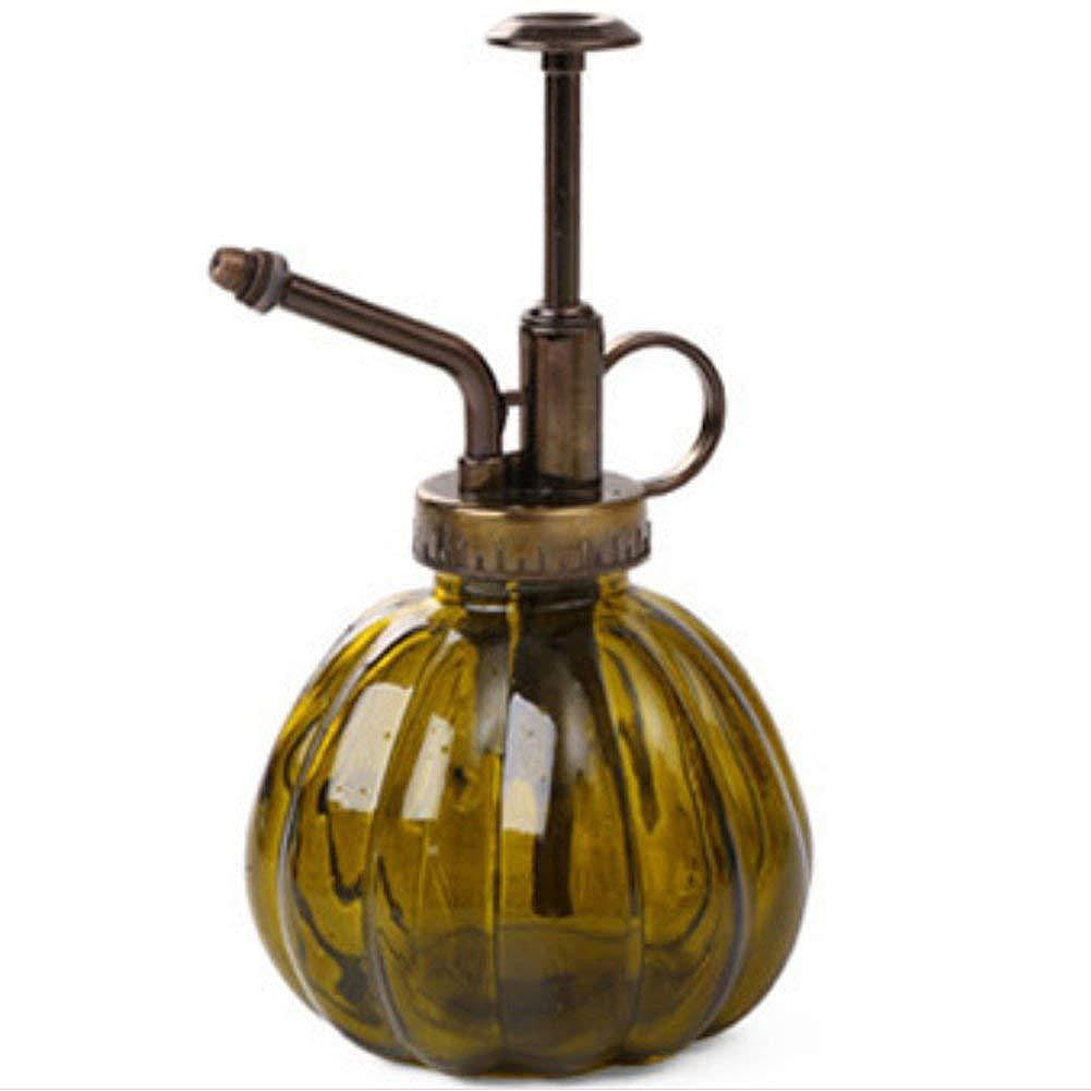 Plant Water Spray Bottle Vintage Decorative Metal Plant  Watering Can Pot