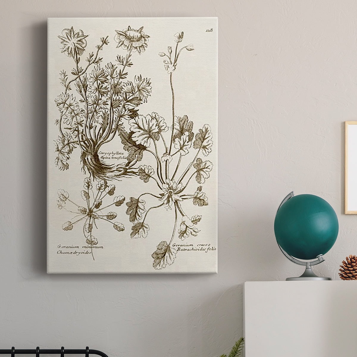 Sepia Botanical Journal IX Premium Gallery Wrapped Canvas - Ready to Hang