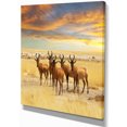 thumbnail image 2 of Troupeau d'Antilopes dans les Prairies - Impression sur Toile Africaine Extra Large Art, 2 of 3
