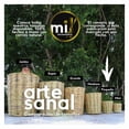 thumbnail image 4 of Kit 3 Canasto Artesanal, 4 of 5