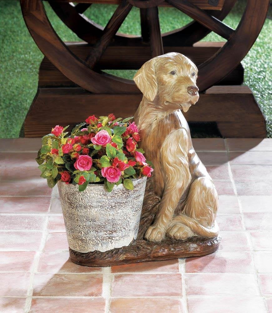 deck family farm golden retriever deck family farm golden retriever