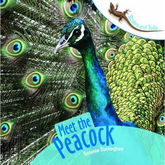 Pre-Owned Meet the Peacock (Library Binding) 9781404245037