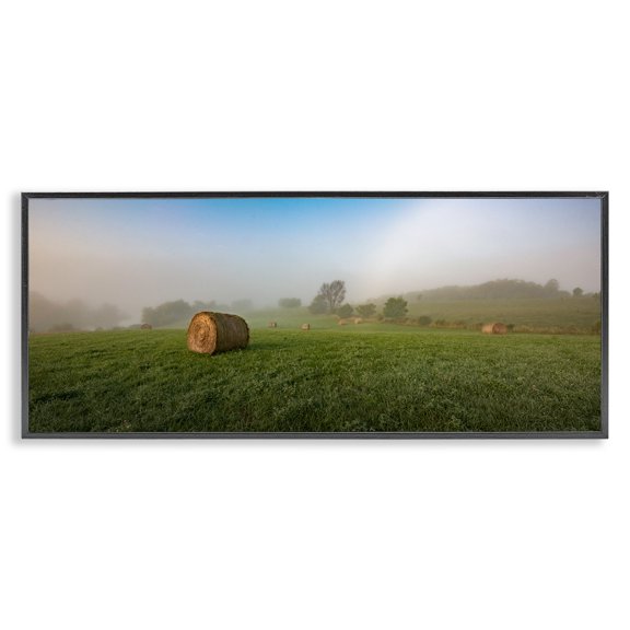 Stupell Industries Hay Bales Country Horizon Landscape & Nature Photography Black Framed Art Print Wall Art, 24 x 10