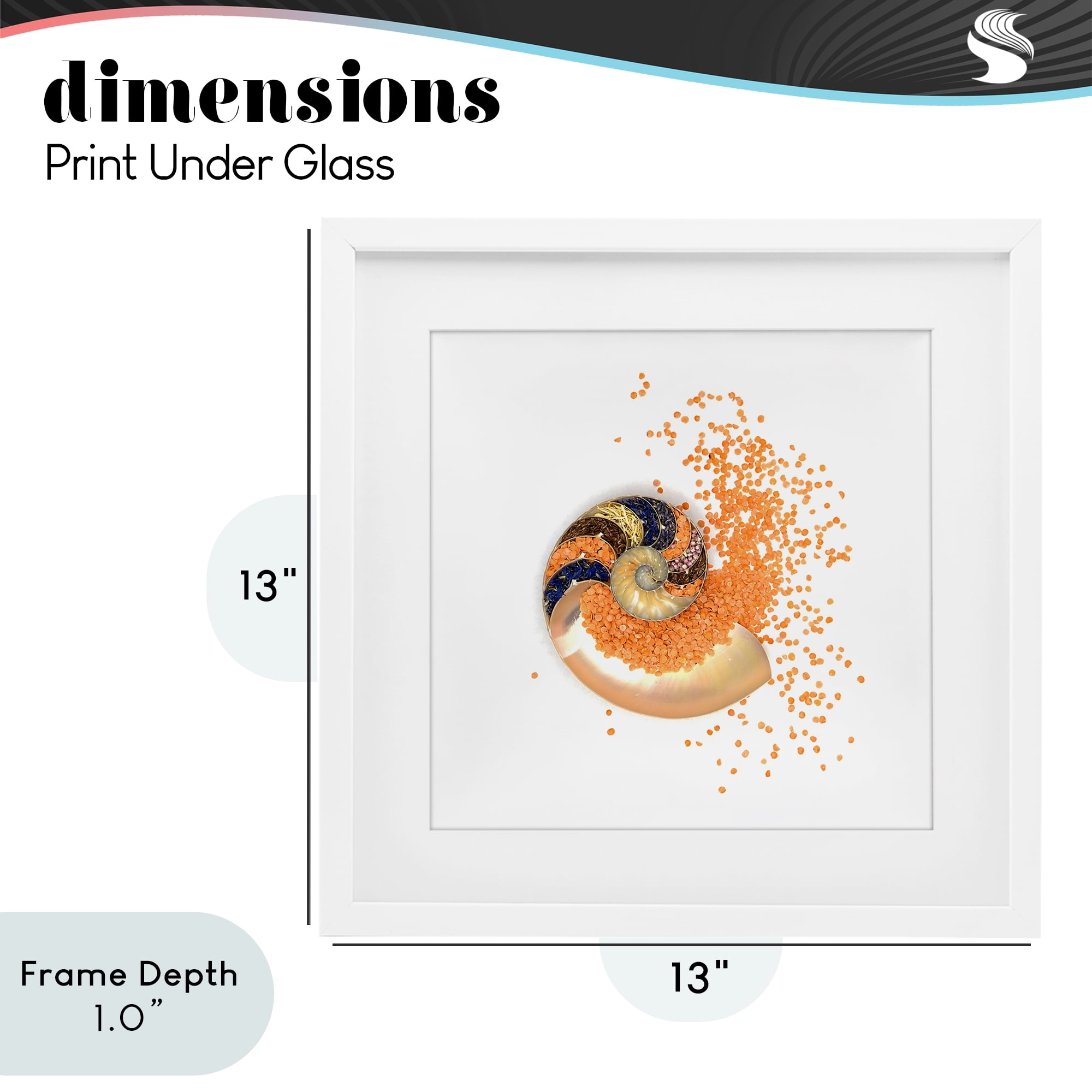 Stupell Industries Orange Nautilus Spiral White Framed Print Under Glass, design by Beth Adoette
