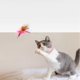 thumbnail image 3 of Cat Toys For Indoor Cats, Interactive Cat Toy With Feather, Silicone Collar With Small Bell, Self-employment Cat Toys, Silicone Collar Cat Teaser Stic, 3 of 3