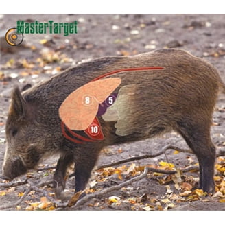 12 Inch Stick & Splatter Reactive Splatterburst Targets - Self-adhesive