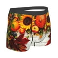 thumbnail image 3 of Kll Thanksgiving With Autumn Pumpkins Fall Leaves Men'S Cotton Boxer Briefs Underwear-Small, 3 of 9