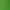 Lime, variant on Ashley Stewart Women's Plus Easy Pull On Mesh Pant, Sizes 10/12-26/28