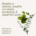 thumbnail image 3 of Body Mist Bath & Body Works, aromaterapia, eucalipto, menta verde, 3 of 6