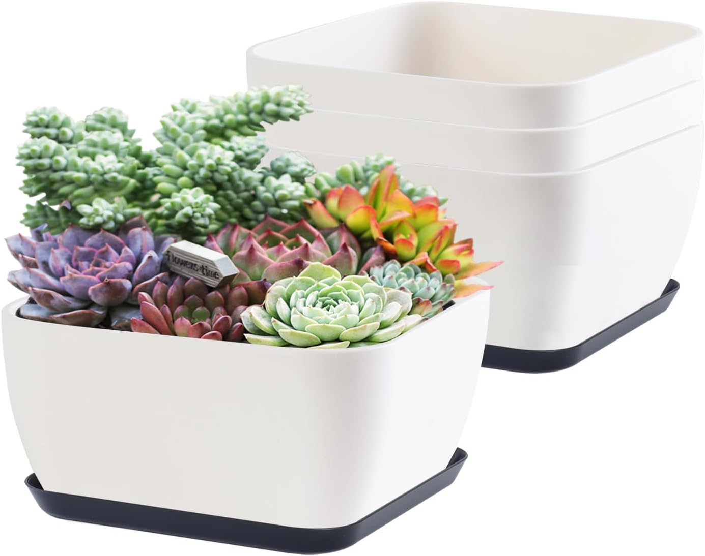 JUMRHFAN Succulent Pots 6 Inch Shallow Herb Planters with Drainage Hole - 4 Packs Cactus Planter for Home Office Garden Plants Pot Present - Plants Not Included (Off White)