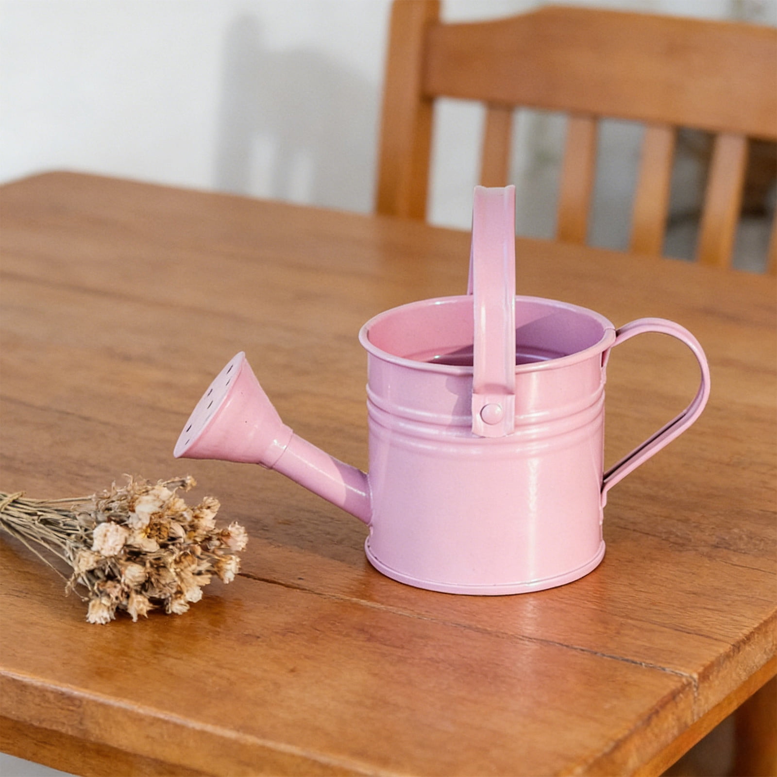 Tusihei Mini Watering Can, Small Cute Iron Watering Can with Sprinkler Head and Handle, Durable Portable Decorative Sprinkling Can for Gardening Succulents Houseplants Bonsai