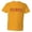 Gold, variant on ™ Mens Stillwater Almost Famous Tour Name Logo HQ Tee