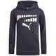 thumbnail image 1 of Sudadera con capucha PUMA Performance Fleece para niños, tallas 10-12, gris, 1 of 6