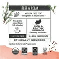 thumbnail image 2 of Numi Organic Rooibos Tea, 18 Tea Bags (Pack of 3) South African Red Tea, Caffeine Free Herbal Tea (Packaging May Vary), 2 of 3