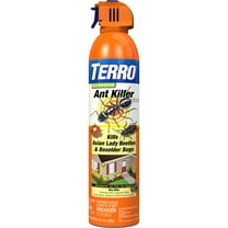 TERRO Outdoor Ant Killer Aerosol Spray, 19 Ounce