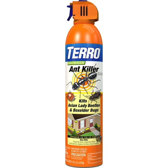 TERRO Outdoor Ant Killer Aerosol Spray, 19 Ounce
