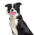 thumbnail image 3 of OUSITAID Durable Corn Shape Dog Toy Squeaky Bite-resistant Teeth Cleaning Perfect for Medium Large Dogs Pet Supply, 3 of 5