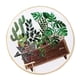 thumbnail image 1 of Kit de inicio de bordado con plantas, punto de cruz, arte, costura, bastidor, tela, juego de agujas EC004, 1 of 9