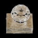 thumbnail image 5 of 4 Uds Polvos Sello Base Zulema Herramienta Sellos Sello de cera de lacre, 5 of 8