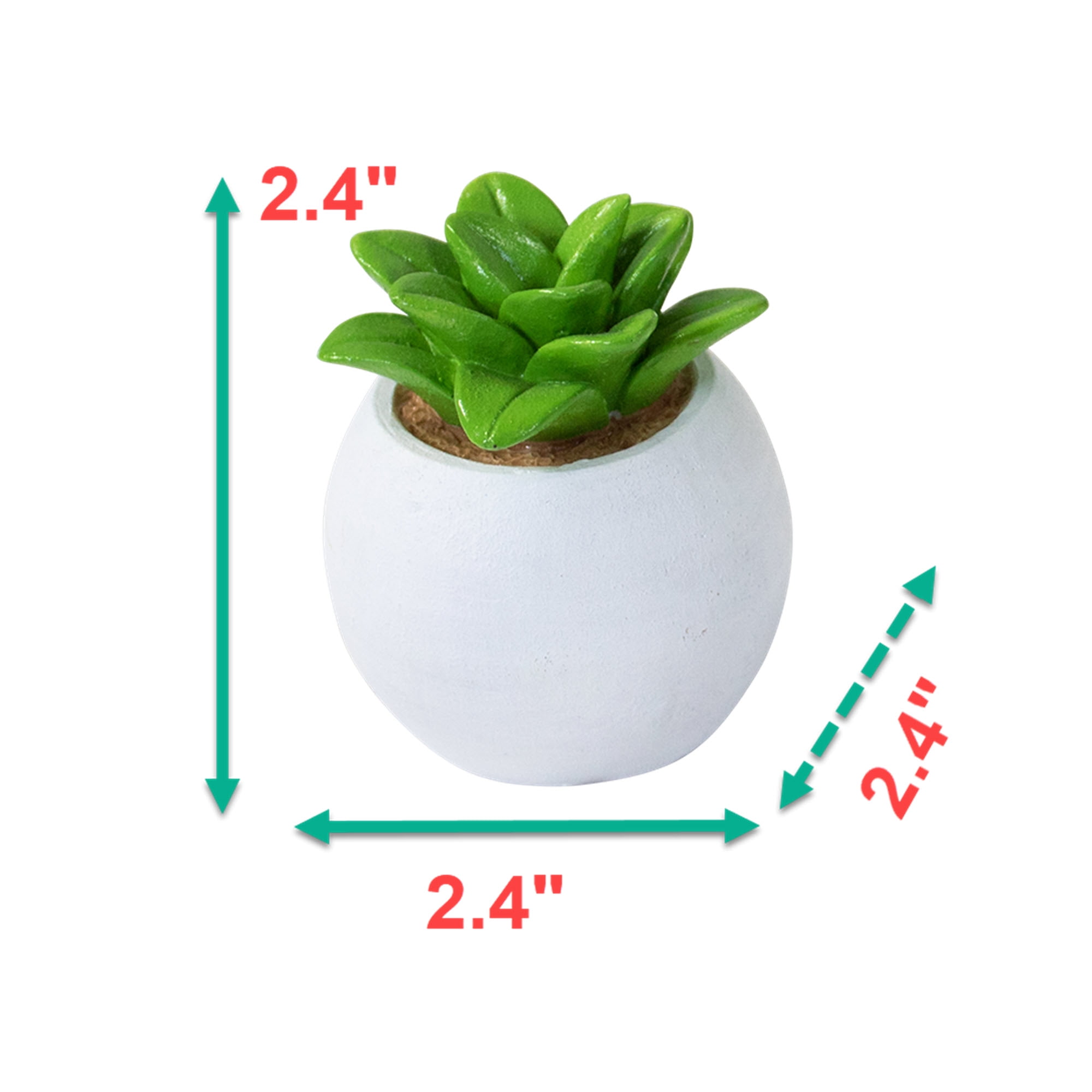 Succulent Decor Aquarium Resin Decorations for Fish Tanks - Size Small - Selection Will Vary