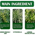 thumbnail image 5 of Green Prickly Ash Mite Remover Spray, Green Prickly Ash Mite Spray Special Effect, Anti Allergen Dust Mites Killer, 5 of 5