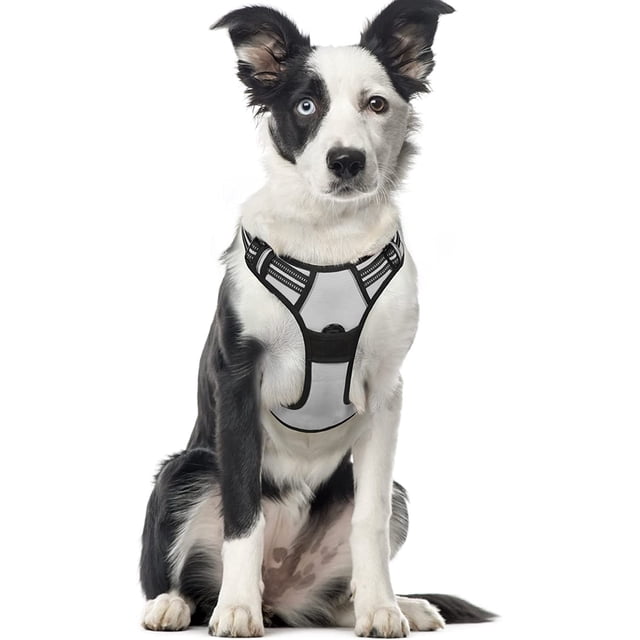 Rabbitgoo Arnés para Mascotas sin Tirones con 2 Clips para Correa, Acolchado Suave Ajustable, Chaleco Oxford Reflectante para Mascotas sin asfixia con asa de fácil Control para Perros Grandes, Rosa, L